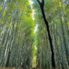 Japan - Kansai region