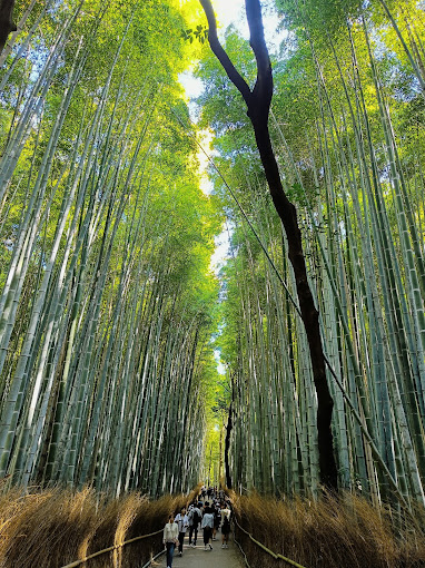 Japan - Kansai region