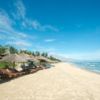 Golden Shores of Vietnam