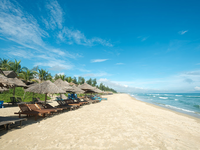 Golden Shores of Vietnam