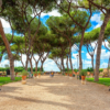 Discover Rome