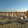 Rimini by the Sea