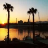 Sunlit Malaga