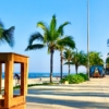 Golden Shores of Vietnam