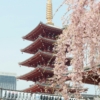 yu-kato-cddaZDt6uRw-unsplash(2) Exploration