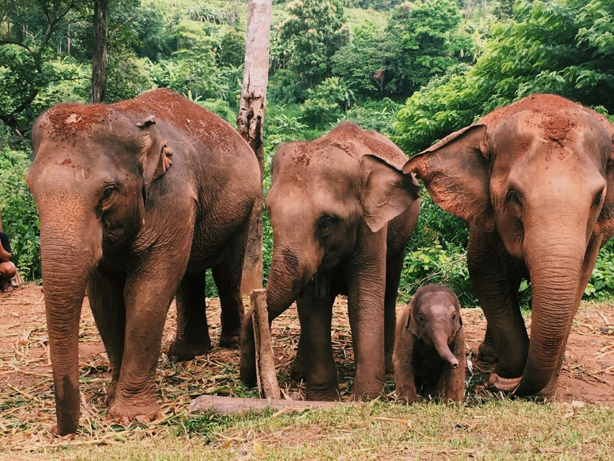 Thailand